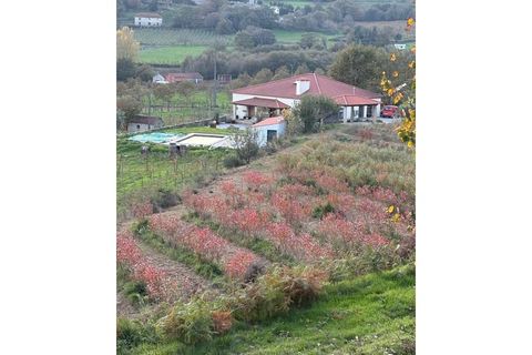 Gård i Gestaco, Porto, Gestaco - € 830 000 | Ref: FT0910 - foto 23