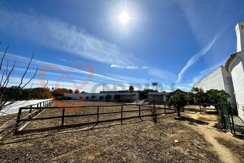 Villa i Algoz, Faro, Algoz - € 1.790.000 | Ref: 4231 - foto 17