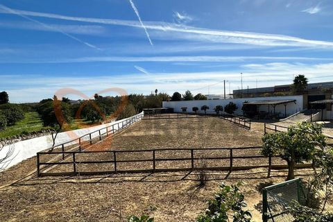 Villa i Algoz, Faro, Algoz - € 1.790.000 | Ref: 4231 - foto 20