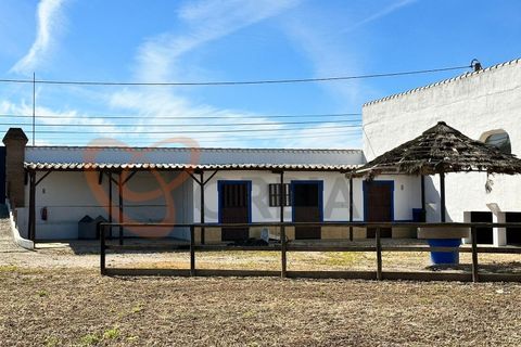 Villa i Algoz, Faro, Algoz - € 1.790.000 | Ref: 4231 - foto 21