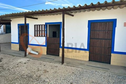 Villa i Algoz, Faro, Algoz - € 1.790.000 | Ref: 4231 - foto 22