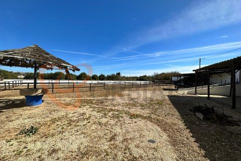 Villa i Algoz, Faro, Algoz - € 1.790.000 | Ref: 4231 - foto 23