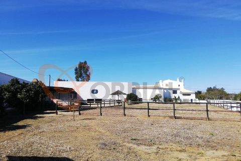 Villa i Algoz, Faro, Algoz - € 1.790.000 | Ref: 4231 - foto 29