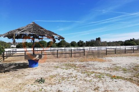 Villa i Algoz, Faro, Algoz - € 1.790.000 | Ref: 4231 - foto 30
