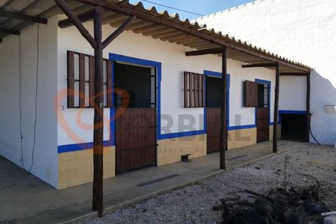 Villa i Algoz, Faro, Algoz - € 1.790.000 | Ref: 4231 - foto 34