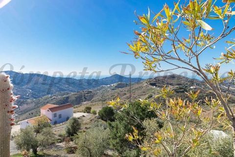 Villa i Archez, Malaga, Archez - € 480.000 | Ref: CP596 - foto 17