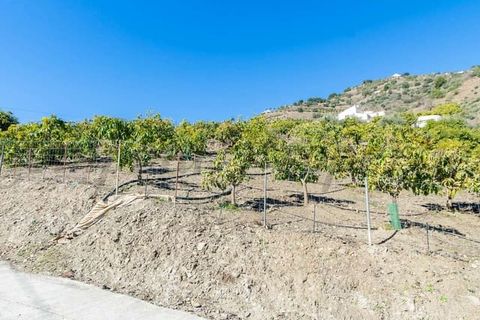 Finca i Competa, Malaga, Competa - € 262.500 | Ref: CP595 - foto 2