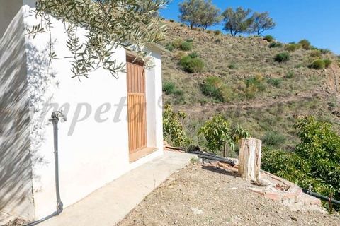 Finca i Competa, Malaga, Competa - € 262.500 | Ref: CP595 - foto 8