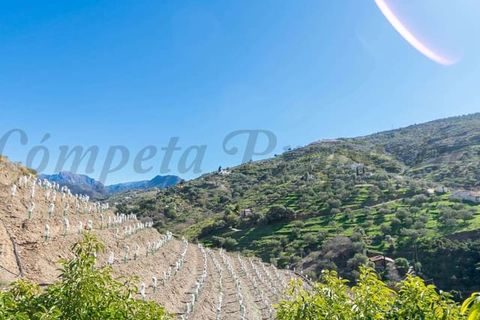 Finca i Competa, Malaga, Competa - € 262.500 | Ref: CP595 - foto 9