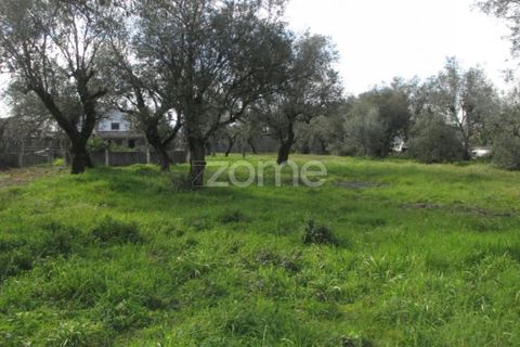 Helårsgrund i Lousa, Coimbra, Lousa - € 105.000 | Ref: ZMPT555759 - foto 4