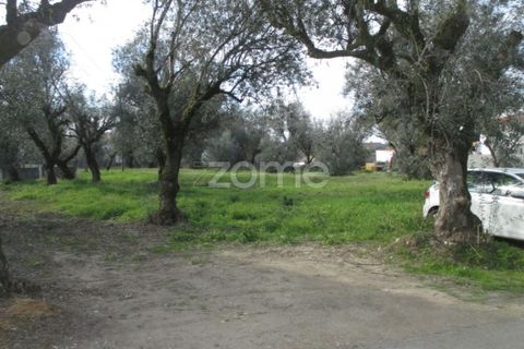 Helårsgrund i Lousa, Coimbra, Lousa - € 105.000 | Ref: ZMPT555759 - foto 5