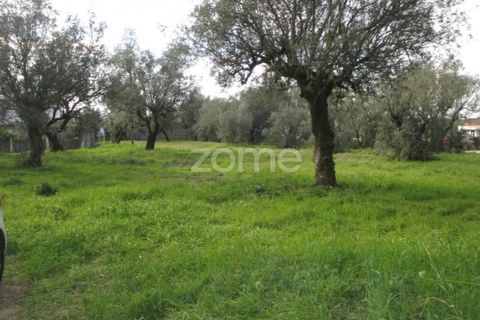 Helårsgrund i Lousa, Coimbra, Lousa - € 105.000 | Ref: ZMPT555759 - foto 11