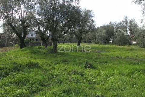 Helårsgrund i Lousa, Coimbra, Lousa - € 105.000 | Ref: ZMPT555759 - foto 12