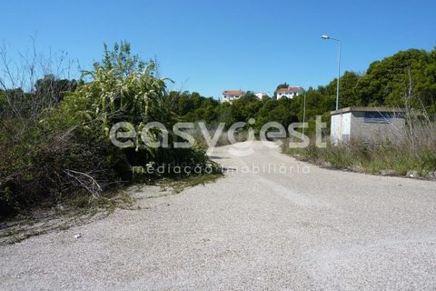 Helårsgrund i Abrantes, Santarem, Abrantes - € 504.100 | Ref: TM26922 - foto 13