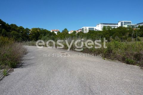 Helårsgrund i Abrantes, Santarem, Abrantes - € 504.100 | Ref: TM26922 - foto 16