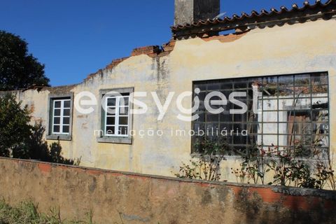 Villa i Tomar, Santarem, Tomar - € 165.000 | Ref: TM91757 - foto 2