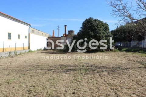 Villa i Tomar, Santarem, Tomar - € 165.000 | Ref: TM91757 - foto 3