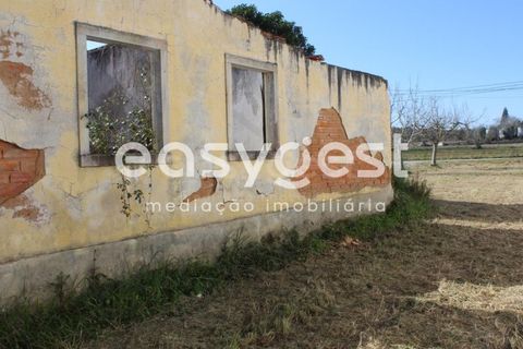 Villa i Tomar, Santarem, Tomar - € 165.000 | Ref: TM91757 - foto 6