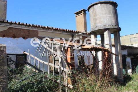 Villa i Tomar, Santarem, Tomar - € 165.000 | Ref: TM91757 - foto 12