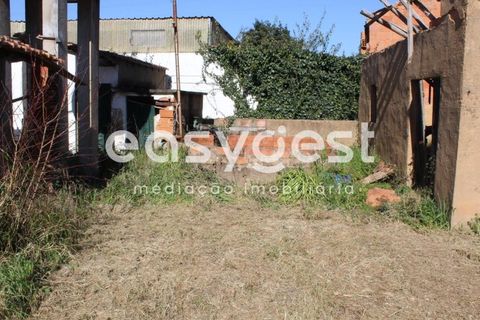 Villa i Tomar, Santarem, Tomar - € 165.000 | Ref: TM91757 - foto 13