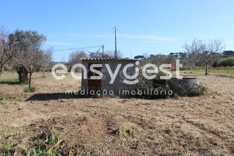 Villa i Tomar, Santarem, Tomar - € 165.000 | Ref: TM91757 - foto 14