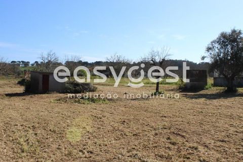 Villa i Tomar, Santarem, Tomar - € 165.000 | Ref: TM91757 - foto 15