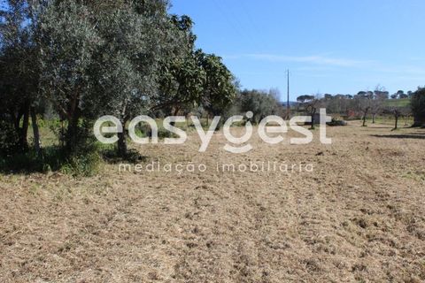 Villa i Tomar, Santarem, Tomar - € 165.000 | Ref: TM91757 - foto 16