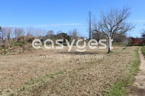 Villa i Tomar, Santarem, Tomar - € 165.000 | Ref: TM91757 - foto 17