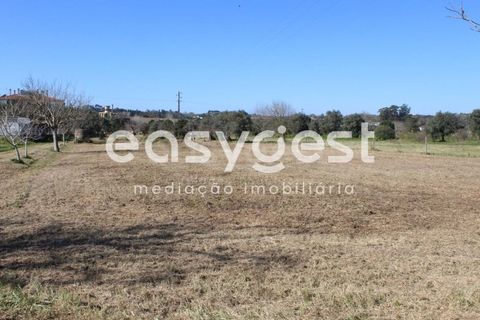 Villa i Tomar, Santarem, Tomar - € 165.000 | Ref: TM91757 - foto 18