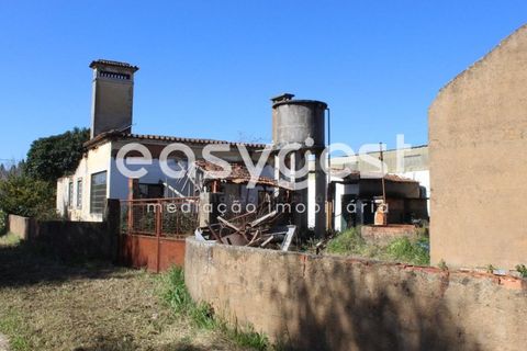 Villa i Tomar, Santarem, Tomar - € 165.000 | Ref: TM91757 - foto 20