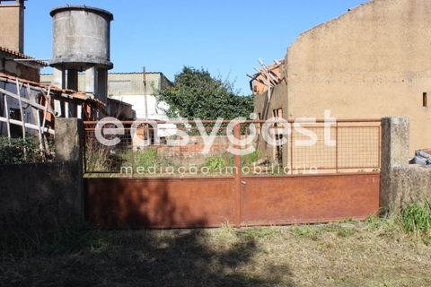 Villa i Tomar, Santarem, Tomar - € 165.000 | Ref: TM91757 - foto 21