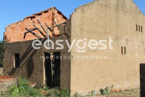 Villa i Tomar, Santarem, Tomar - € 165.000 | Ref: TM91757 - foto 22