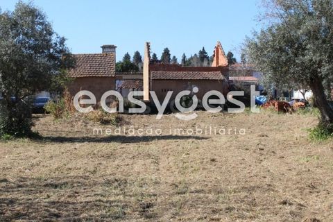 Villa i Tomar, Santarem, Tomar - € 165.000 | Ref: TM91757 - foto 23