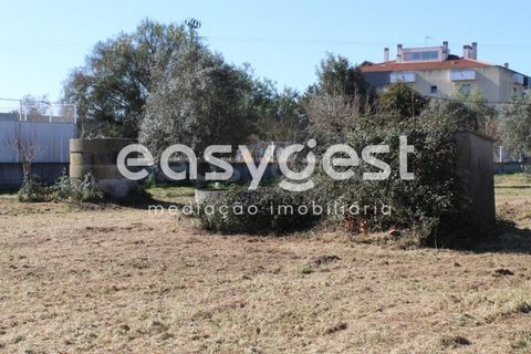 Villa i Tomar, Santarem, Tomar - € 165.000 | Ref: TM91757 - foto 24