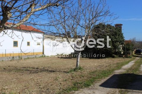 Villa i Tomar, Santarem, Tomar - € 165.000 | Ref: TM91757 - foto 25