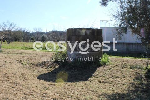 Villa i Tomar, Santarem, Tomar - € 165.000 | Ref: TM91757 - foto 26