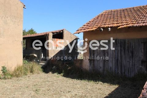 Villa i Tomar, Santarem, Tomar - € 165.000 | Ref: TM91757 - foto 27