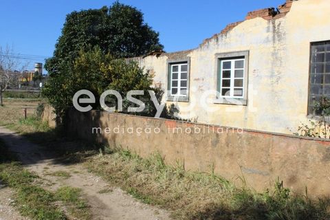 Villa i Tomar, Santarem, Tomar - € 165.000 | Ref: TM91757 - foto 30