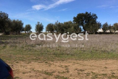 Terra a Avis, Portalegre, Avis - € 41.150 | Ref: ST91777AC - foto 7