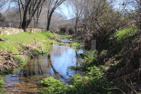 Farm i A do Bispo, Castelo Branco, A do Bispo - € 49.350 | Ref: UNU.I.1782.12555 - foto 2