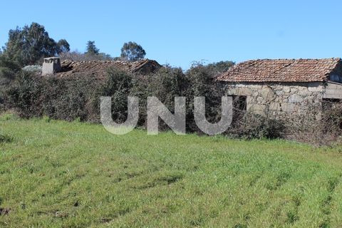 Farm i A do Bispo, Castelo Branco, A do Bispo - € 49.350 | Ref: UNU.I.1782.12555 - foto 1