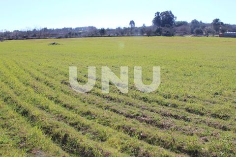 Farm i A do Bispo, Castelo Branco, A do Bispo - € 49.350 | Ref: UNU.I.1782.12555 - foto 10