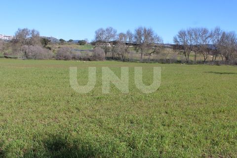 Farm i A do Bispo, Castelo Branco, A do Bispo - € 49.350 | Ref: UNU.I.1782.12555 - foto 11