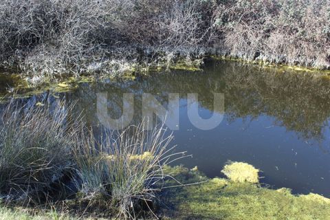 Farm i A do Bispo, Castelo Branco, A do Bispo - € 49.350 | Ref: UNU.I.1782.12555 - foto 4