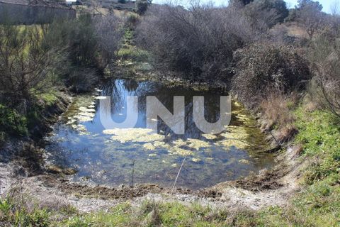 Farm i A do Bispo, Castelo Branco, A do Bispo - € 49.350 | Ref: UNU.I.1782.12555 - foto 5
