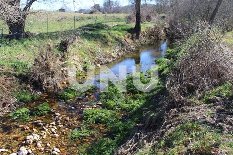 Farm i A do Bispo, Castelo Branco, A do Bispo - € 49.350 | Ref: UNU.I.1782.12555 - foto 12