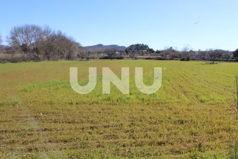 Farm i A do Bispo, Castelo Branco, A do Bispo - € 49.350 | Ref: UNU.I.1782.12555 - foto 15