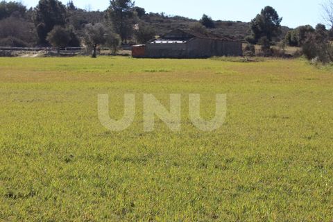 Farm i A do Bispo, Castelo Branco, A do Bispo - € 49.350 | Ref: UNU.I.1782.12555 - foto 16