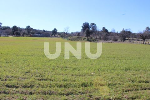 Farm i A do Bispo, Castelo Branco, A do Bispo - € 49.350 | Ref: UNU.I.1782.12555 - foto 17