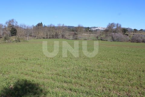 Farm i A do Bispo, Castelo Branco, A do Bispo - € 49.350 | Ref: UNU.I.1782.12555 - foto 18